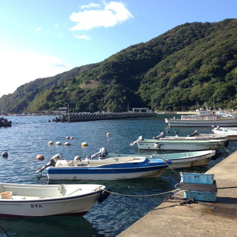 藤乃屋前の海右手側