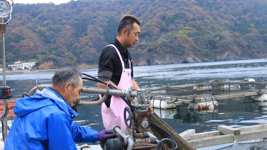 親子で漁師 をしております。