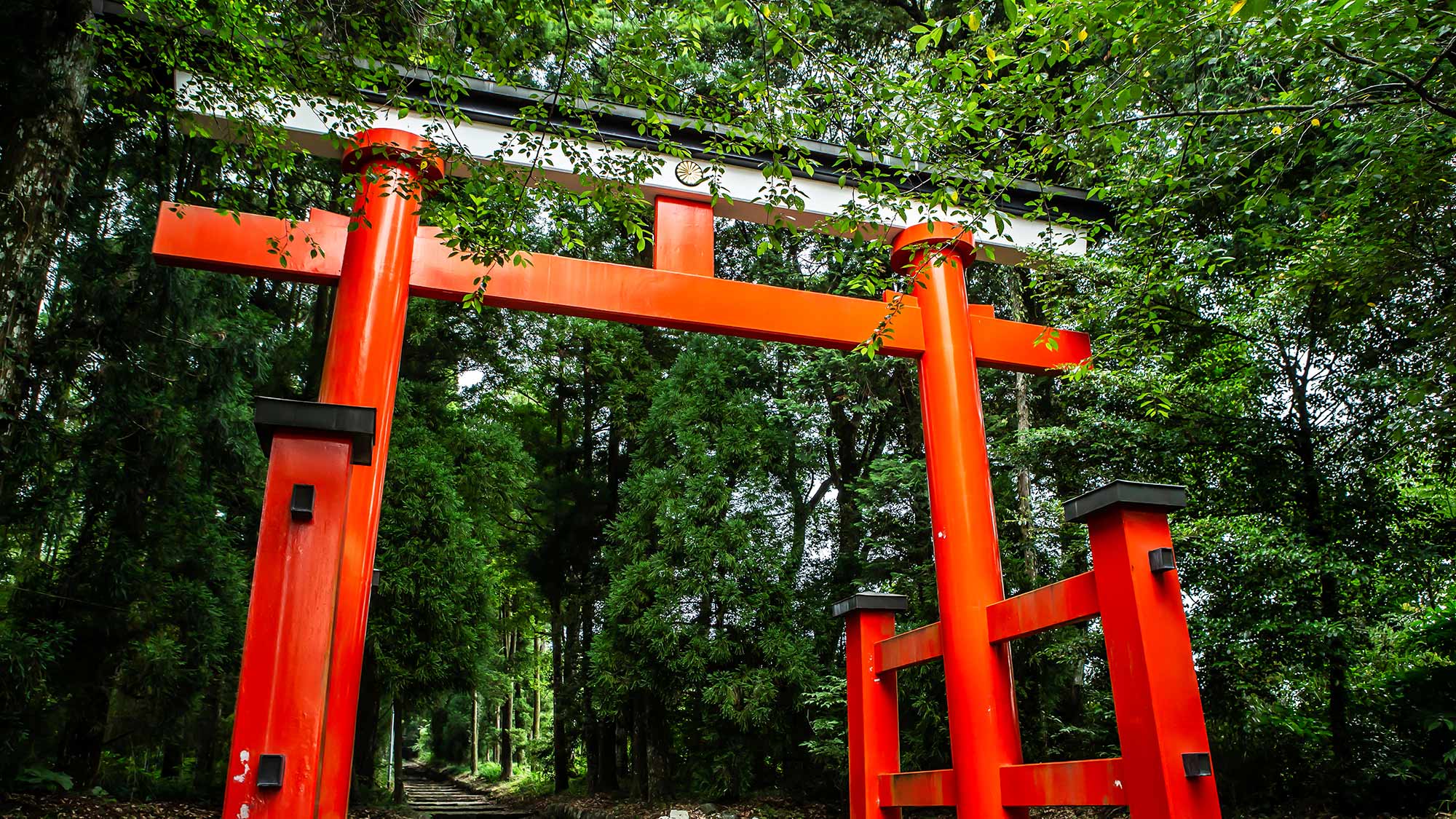 ・【観光情報】神聖な杜へ、いざなう鳥居。狭野神社