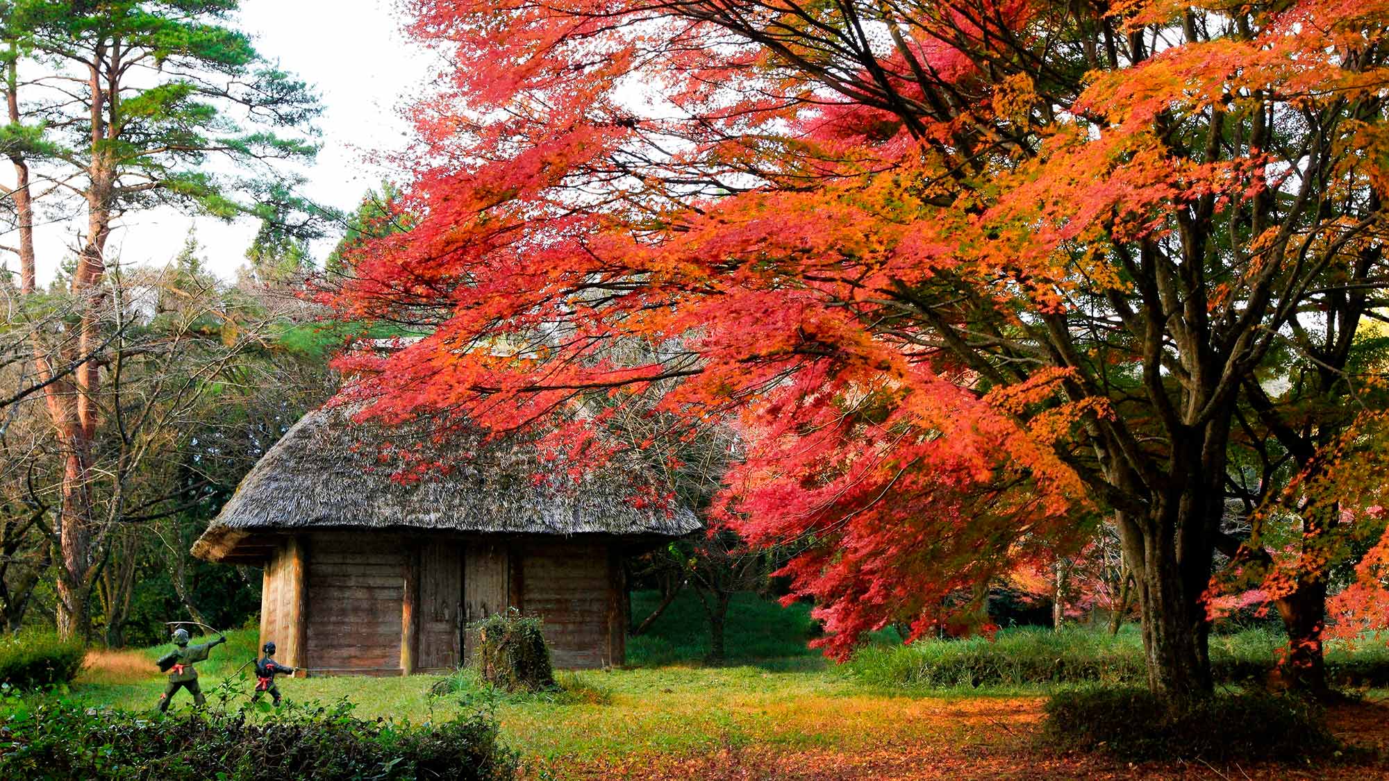 ・【観光情報】紅葉と古代、歴史を感じる皇子原公園