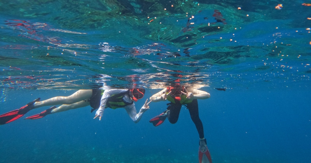 屋久島で半日（4時間）アクティビティ体験ガイド＆送迎付き宿泊プラン