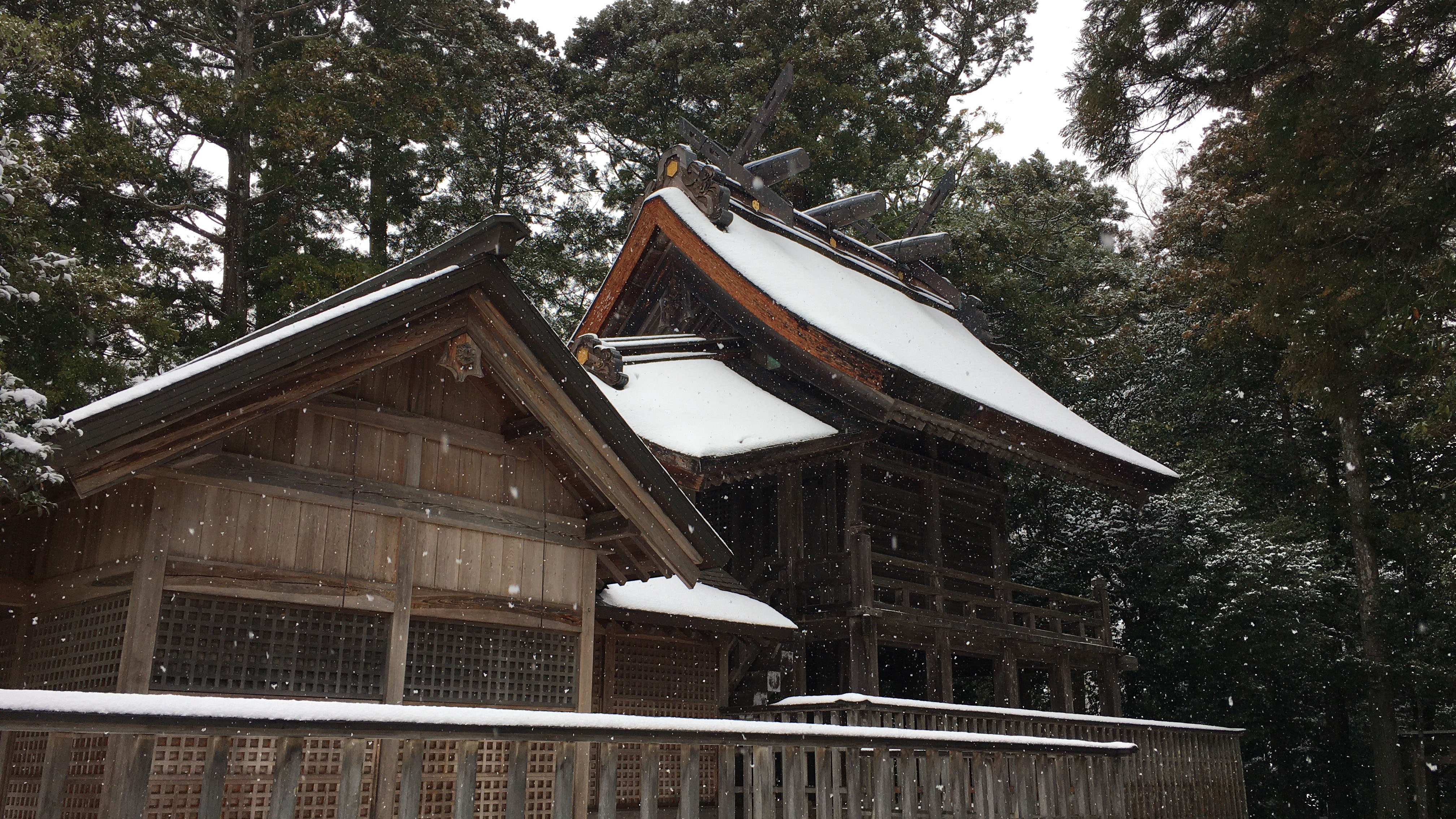 【冬】雪化粧の須佐神社 