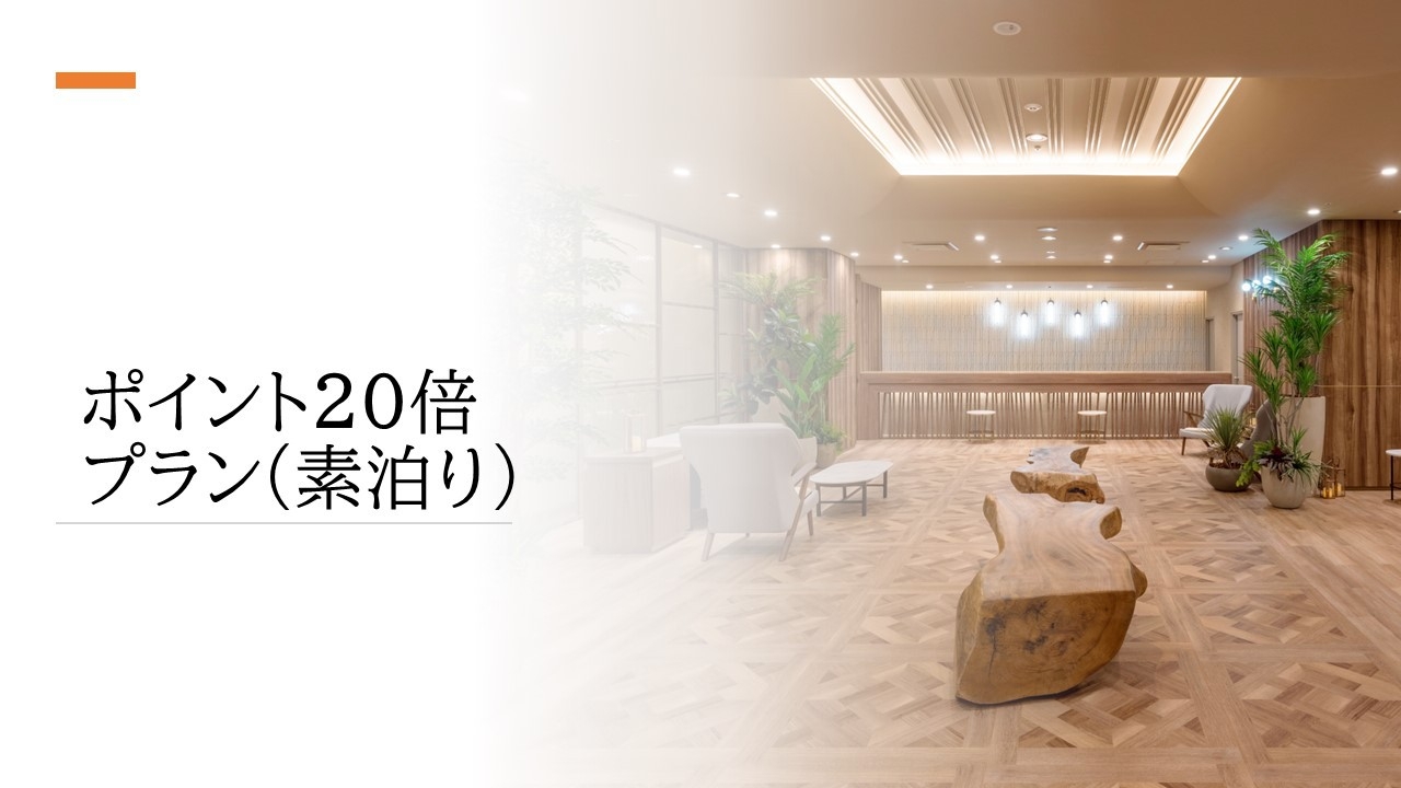 ★楽天ポイント20倍★レイトチェックアウト12：00【素泊まり】