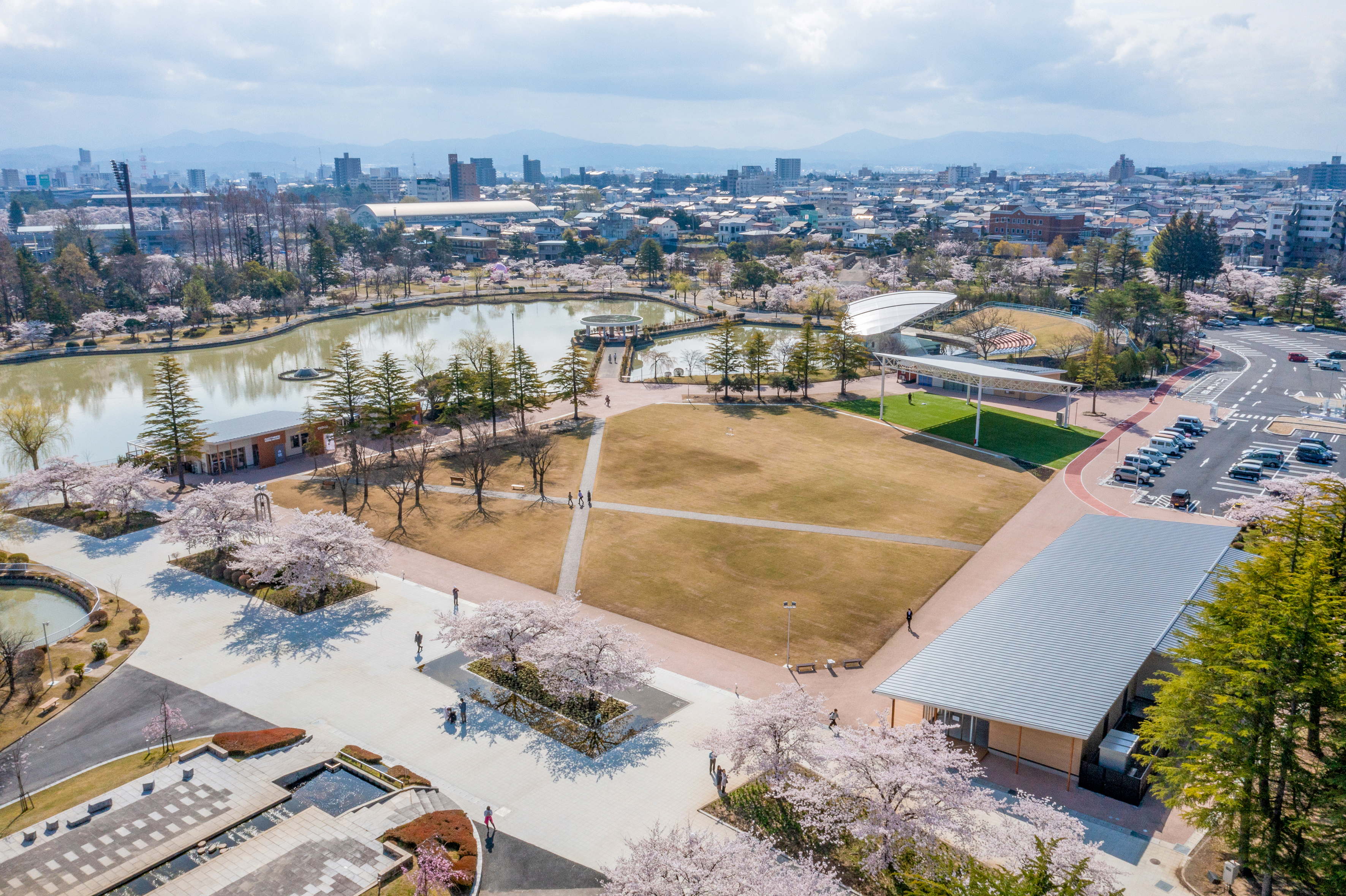 開成山公園(車で約10分)