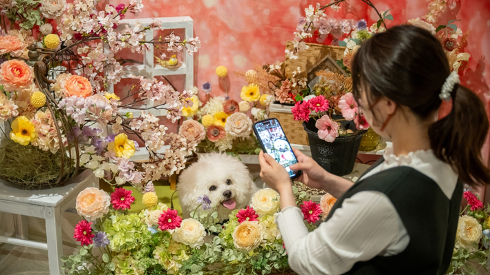 【楽天限定タイムセール】【1泊2食付】館内どこでも一緒！客室には愛犬専用のドッグラン＆露天風呂付