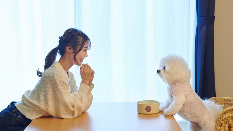 【楽天限定タイムセール】【1泊2食付】館内どこでも一緒！客室には愛犬専用のドッグラン＆露天風呂付