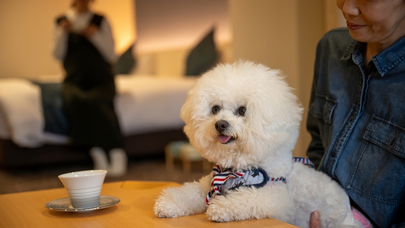 【楽天限定タイムセール】【1泊2食付】館内どこでも一緒！客室には愛犬専用のドッグラン＆露天風呂付