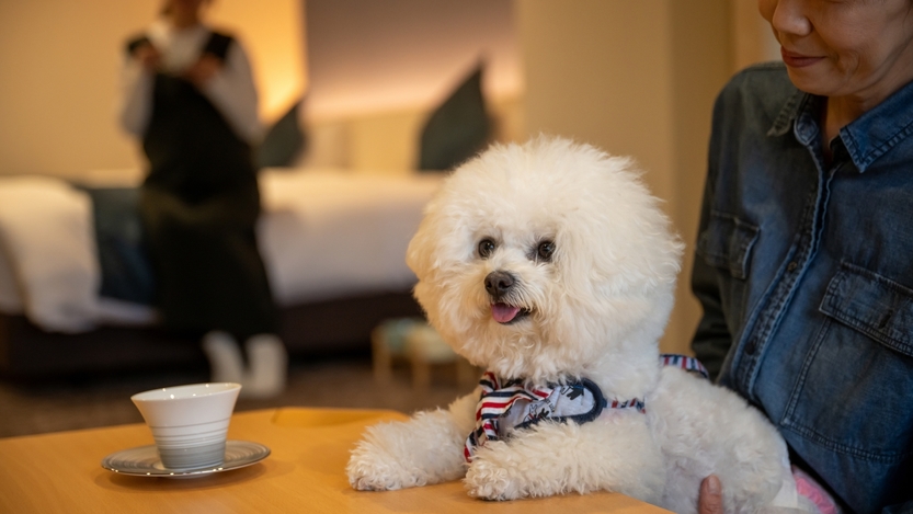 【わんちゃんとずっと一緒】【1泊2食付】館内どこでもOK！客室には愛犬専用のドッグラン＆露天風呂付