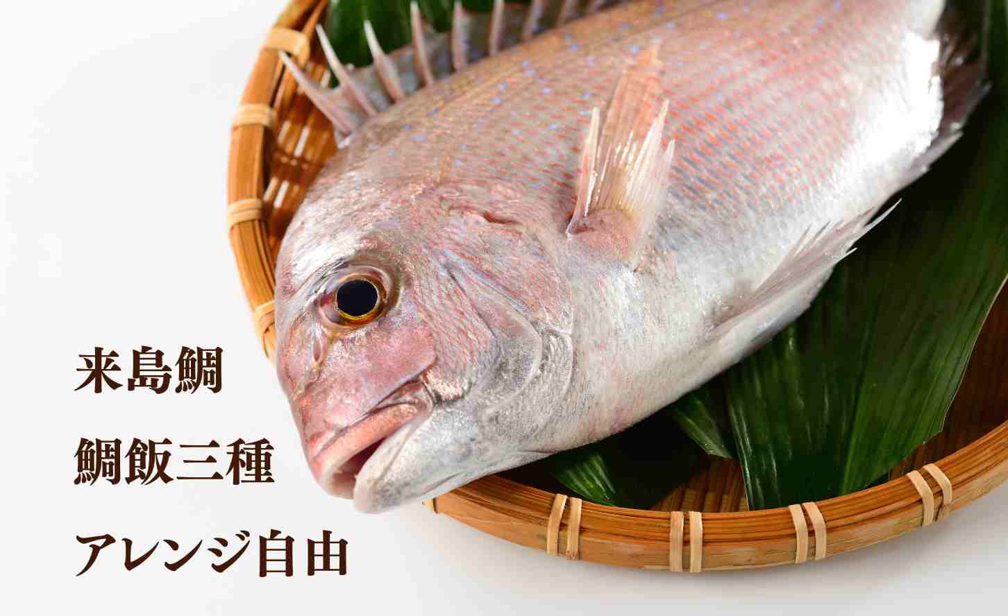 【スタンダード■朝食付】当館だけ！元気な一日の活力に『今治ご当地グルメとアレンジ自由な鯛めし3種』