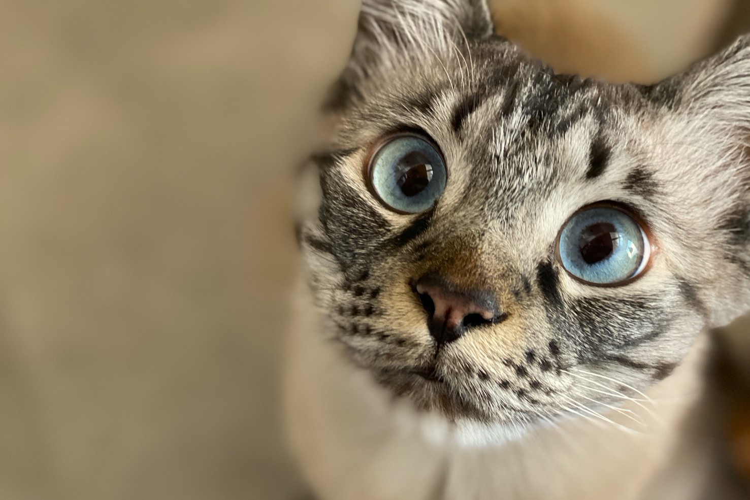 ◆メゾネットルーム素泊まり＆貸切風呂プラン◆家族や友人と過ごすプライべートな時間♪ご朝食も注文可能♪