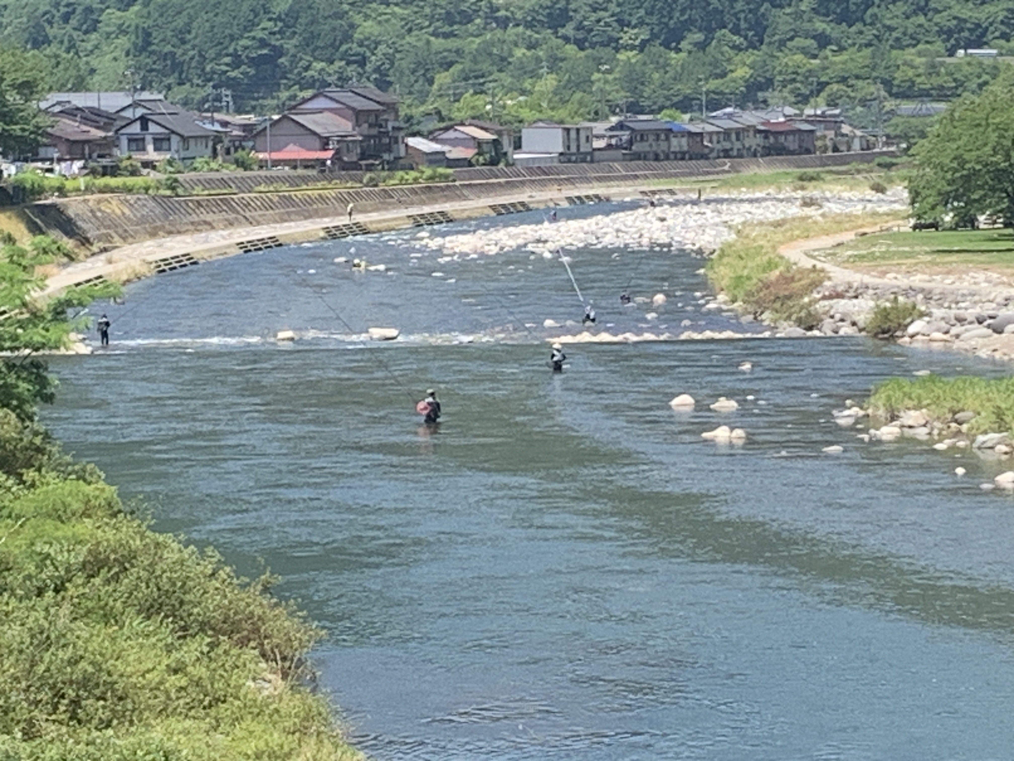 夏の風物詩、宮ケ瀬橋から下流の鮎掛け風景