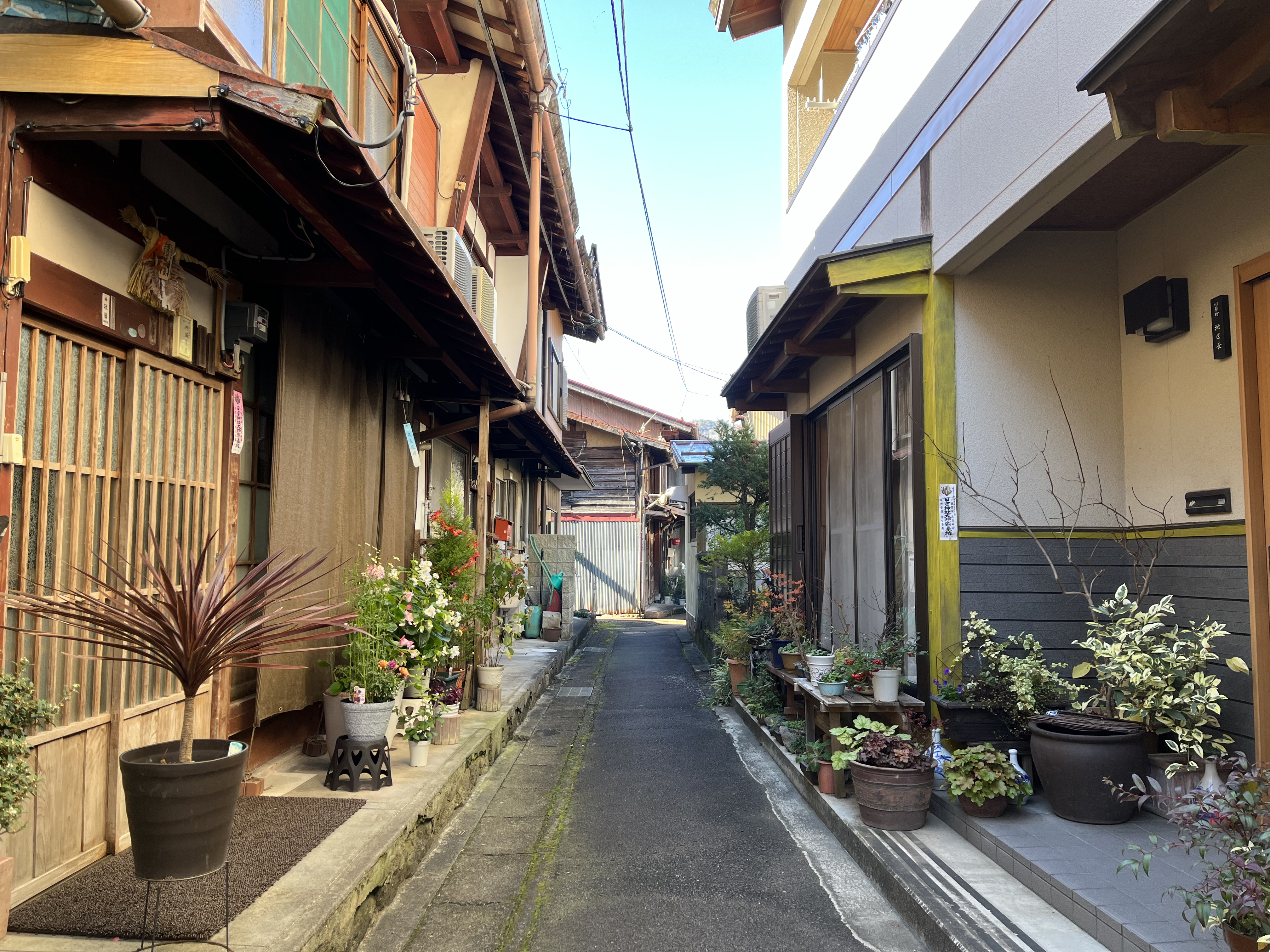 周山のご近所風景