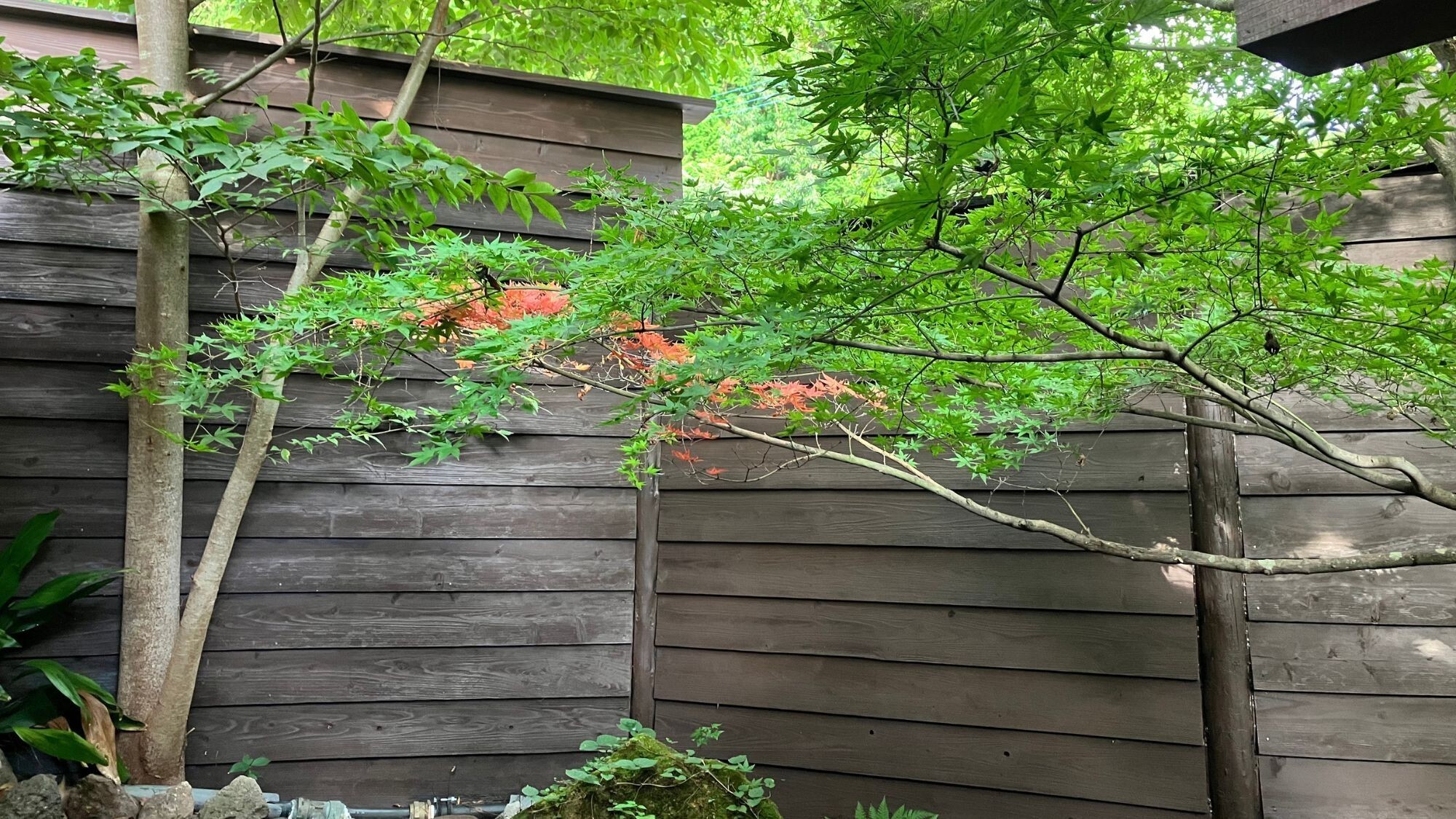 部屋／【温泉露天風呂付】スタイリッシュ　