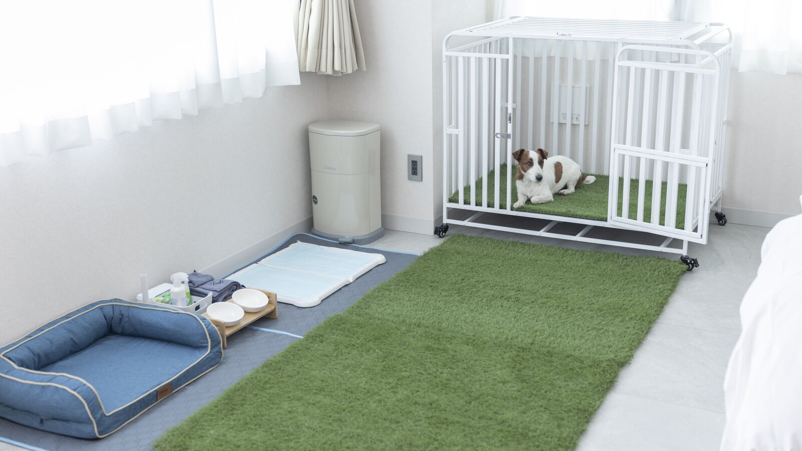 ＜102室　Dog Friendly Room＞