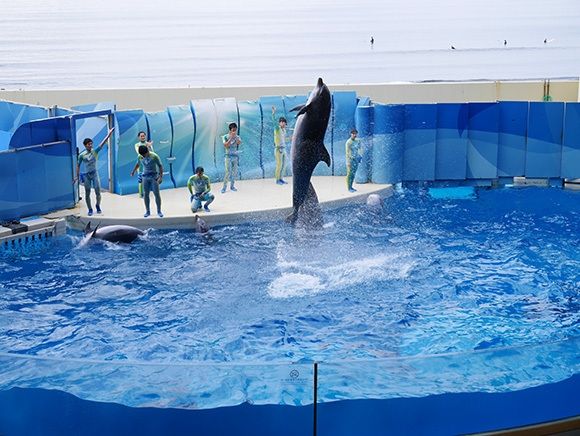 ★江ノ島水族館入場券・朝食付きプラン★