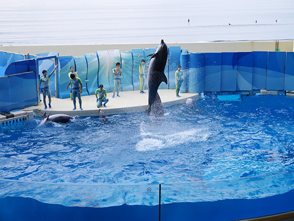 江ノ島水族館