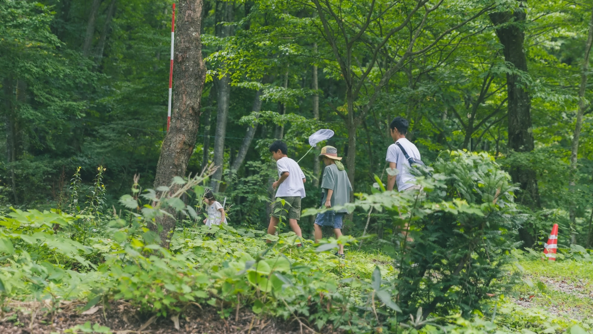 *アクティビティ（虫取り）／周囲を森に囲まれた当館は自然がいっぱい。都会で会えない虫と出会えるかも？