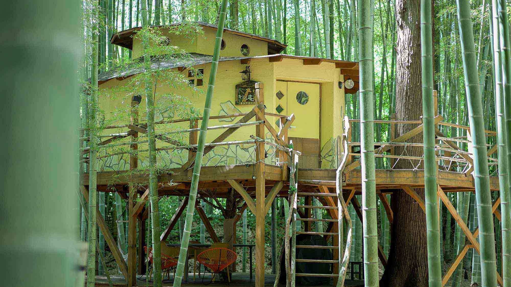 The Bamboo Forest｜動物と竹林に囲まれる≪動物園×グランピング≫ 