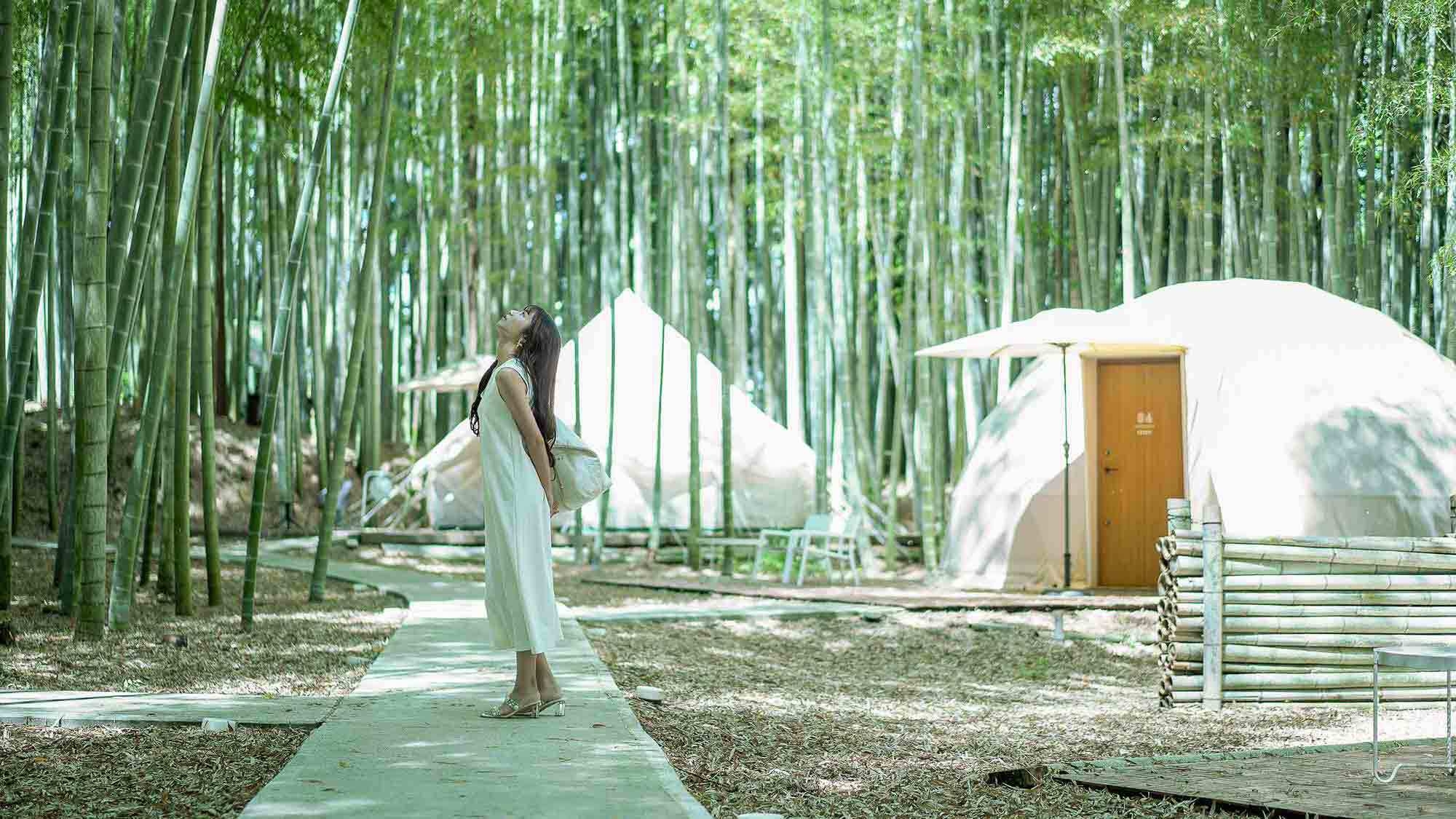 The Bamboo Forest｜動物と竹林に囲まれる≪動物園×グランピング≫ 