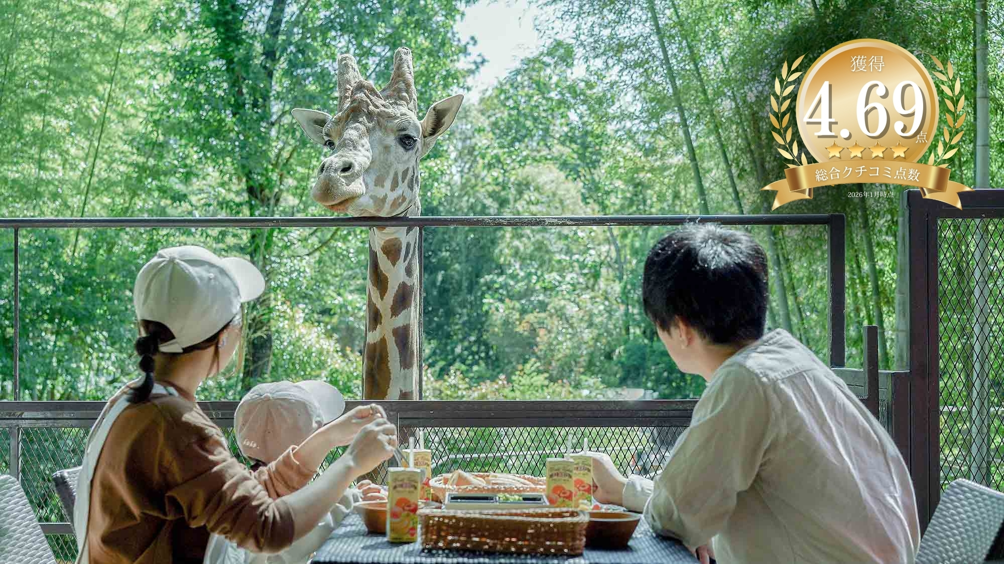 竹林&times;動物園をコンセプトにしたバンブーフォレストのキリンと朝食のオプションプラン