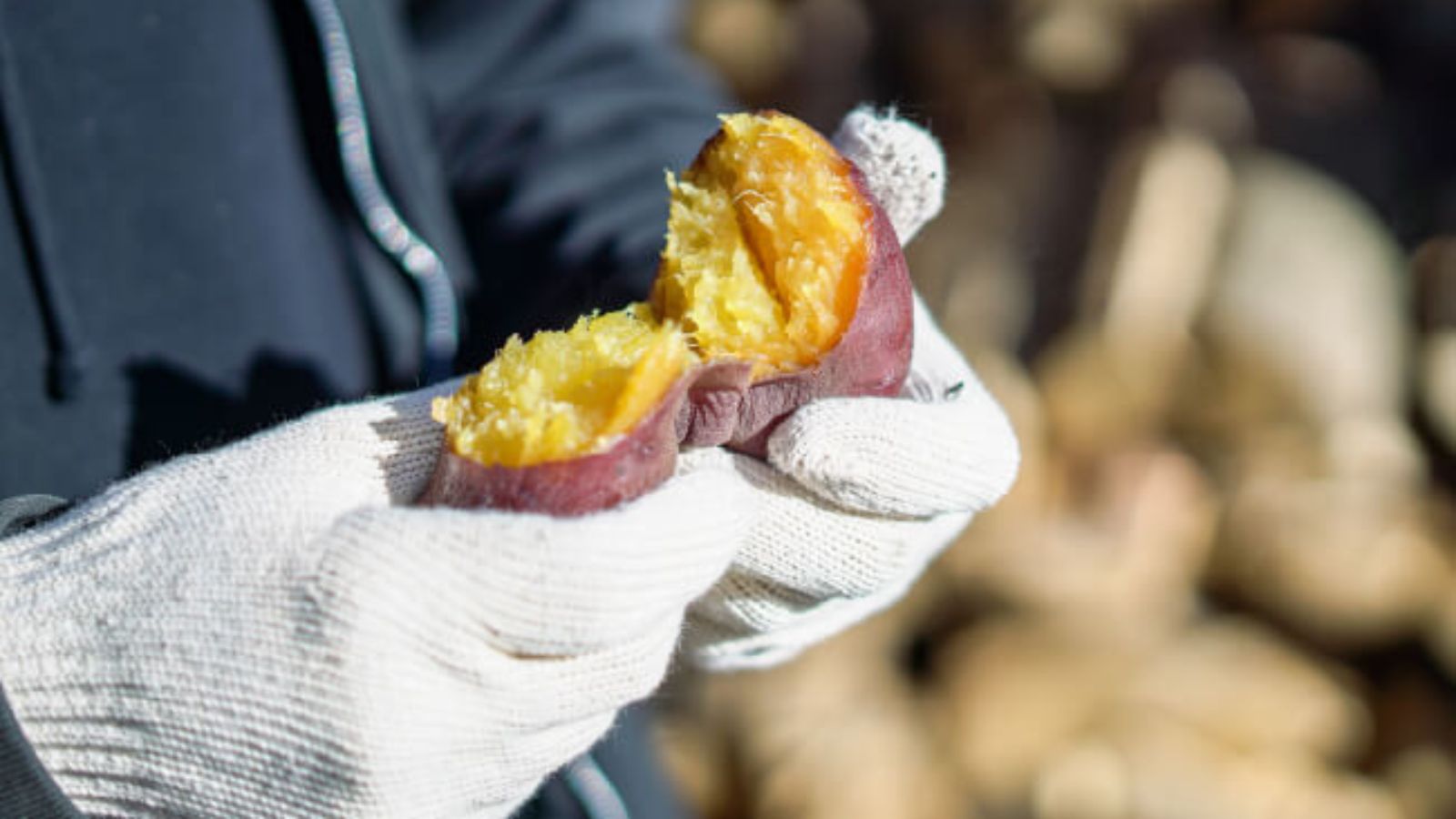 薪割り体験_サツマイモオプション（冬季限定・予約不要）