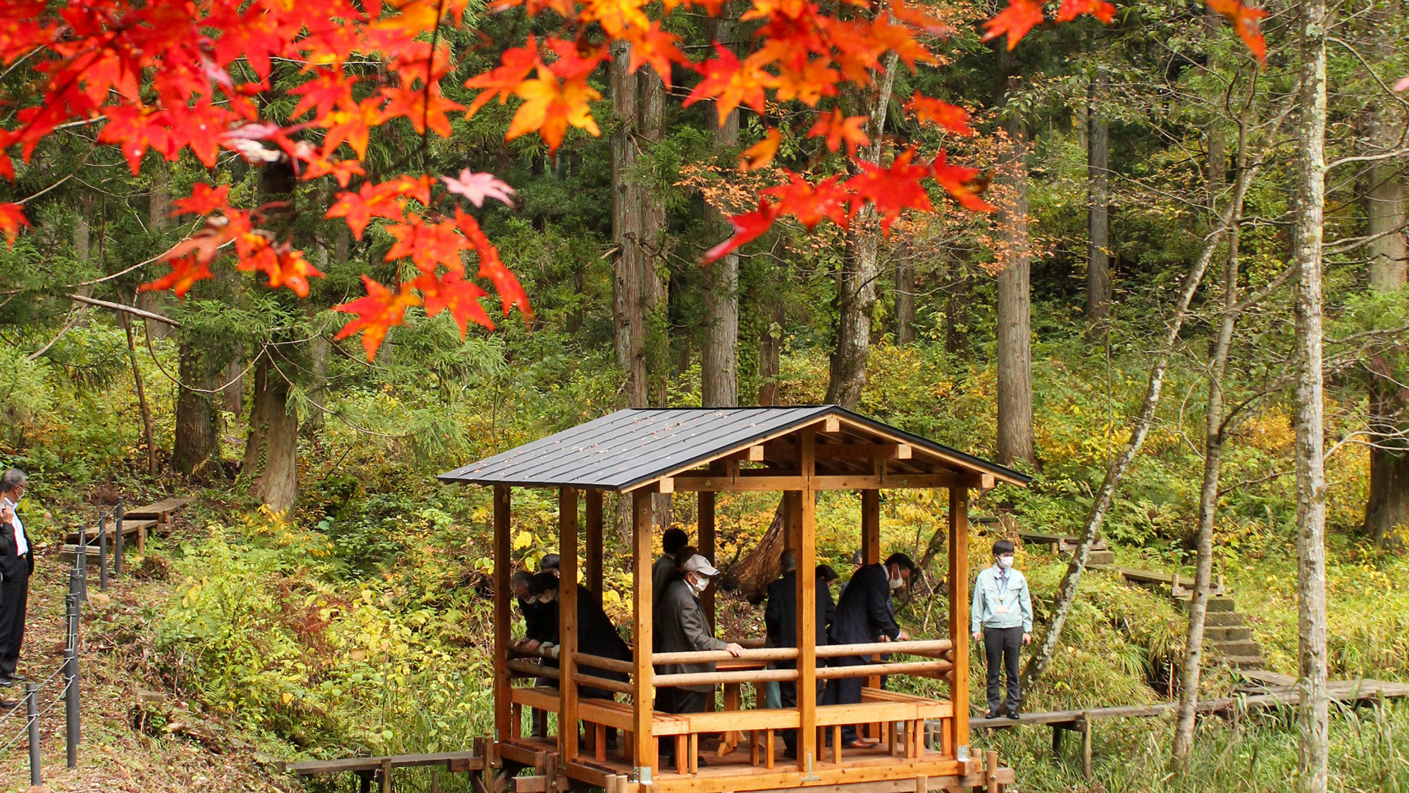 少し山を登ると色鮮やかな紅葉も見れます♪