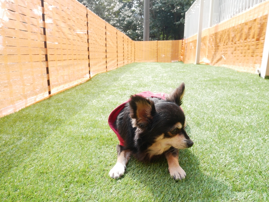 【素泊まり】愛犬と宿泊プラン一棟貸切