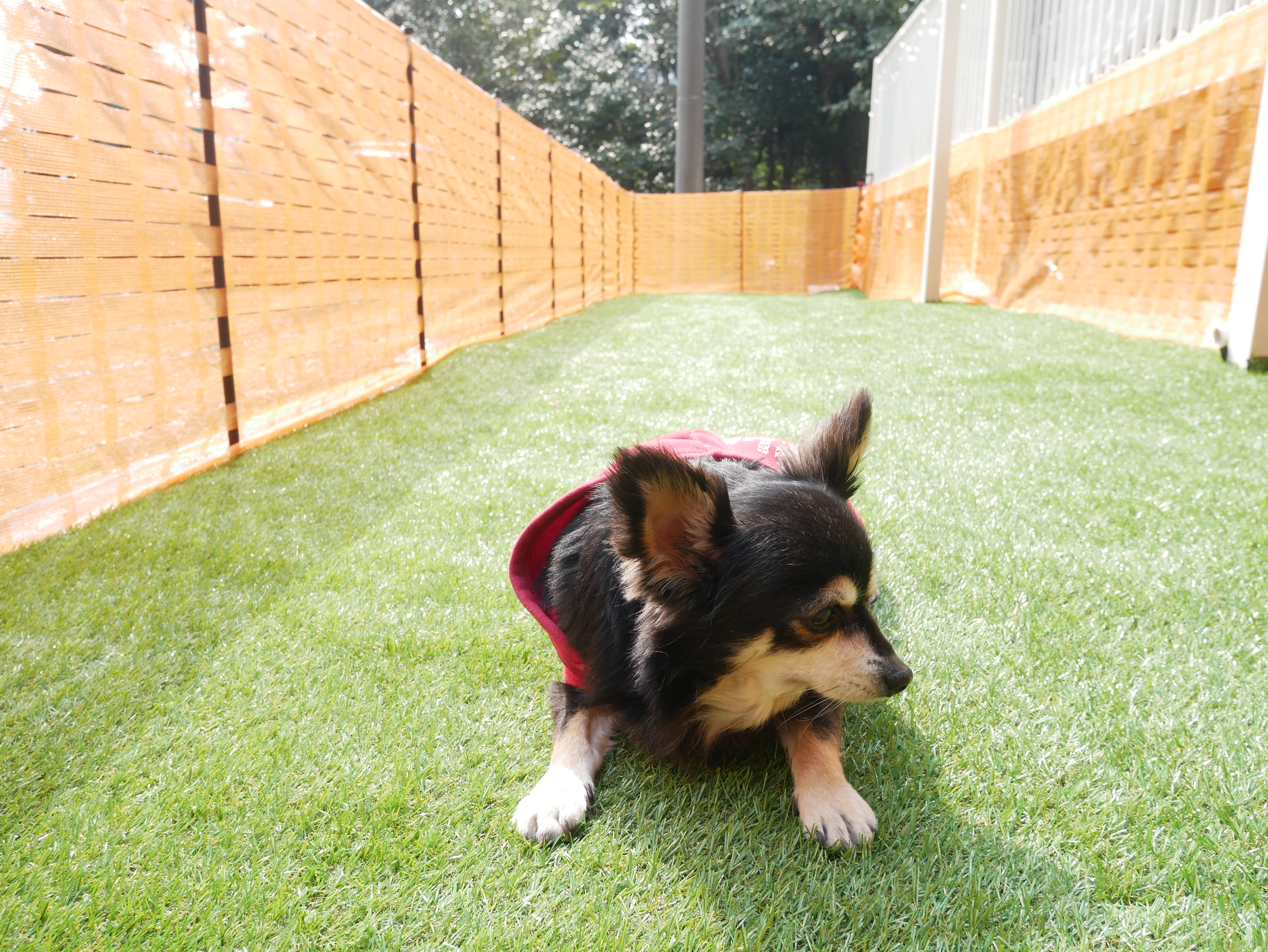 ベランダから入れる小型犬〜中型犬向けのドッグランです。 冬季は雪が積もるためご利用いただけません。