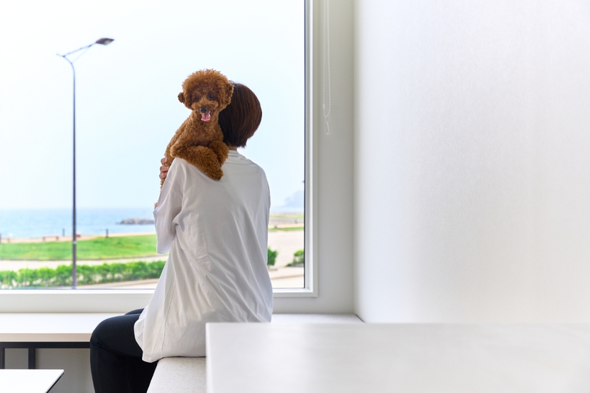 【ワンちゃんと泊まれる】オーシャンスタンダード