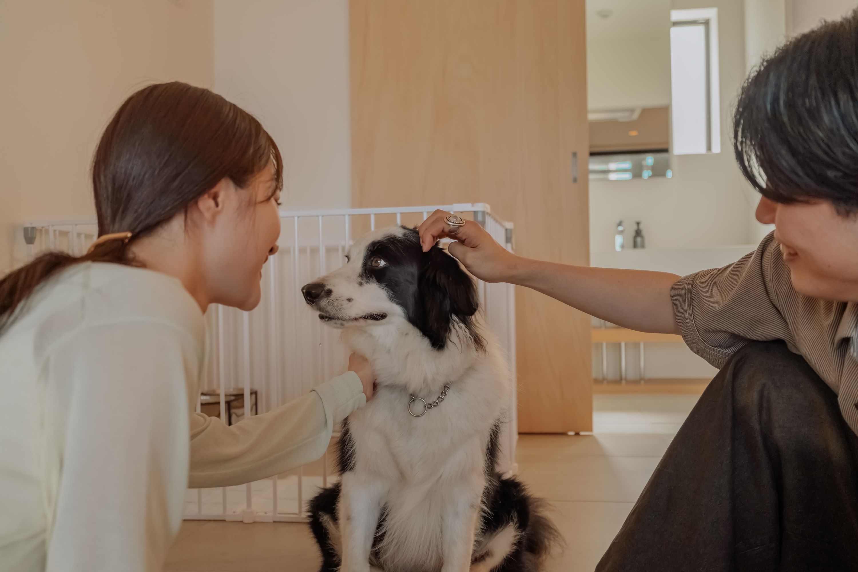 愛犬とのご滞在イメージ