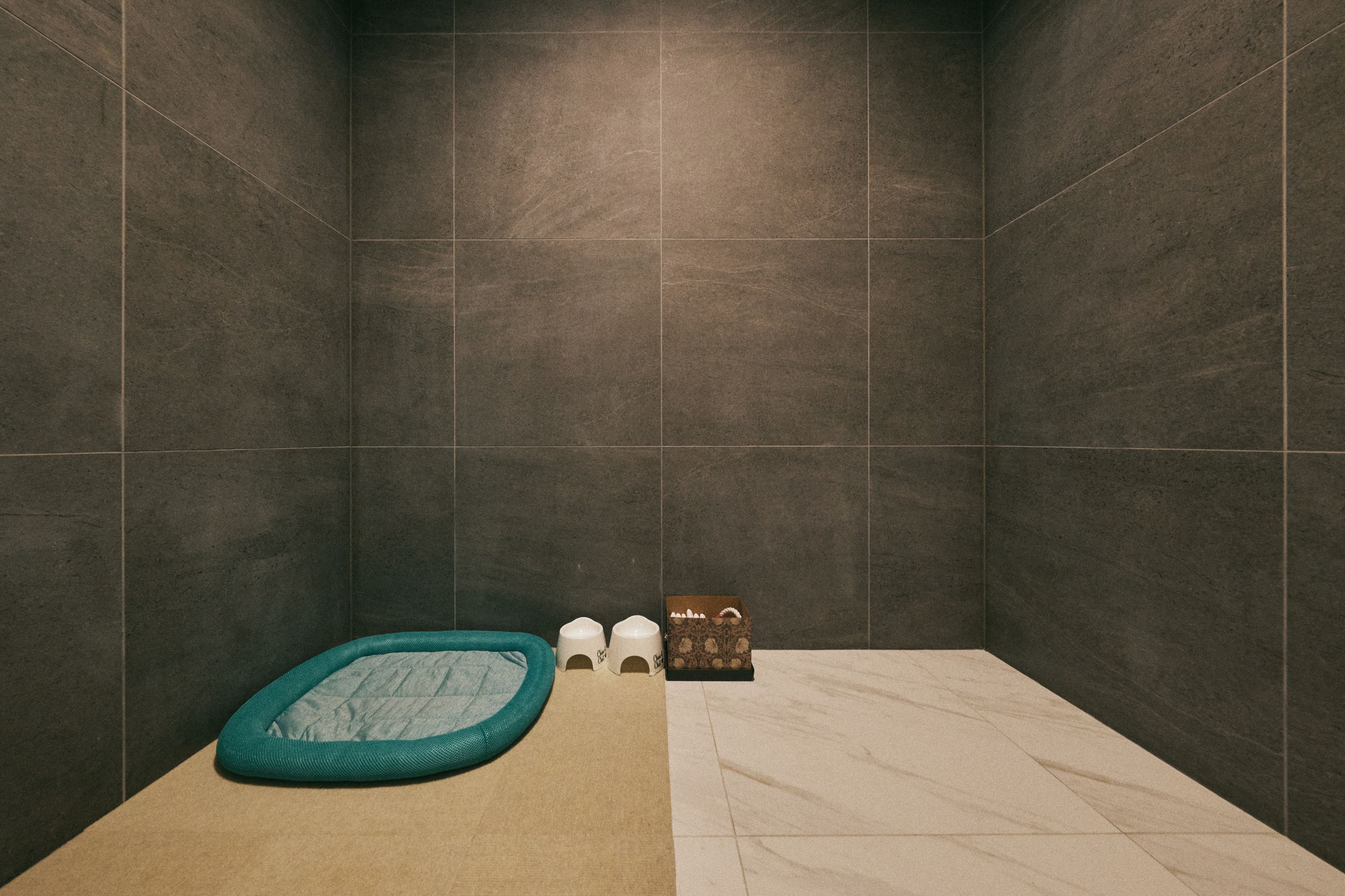 ワンちゃんルーム