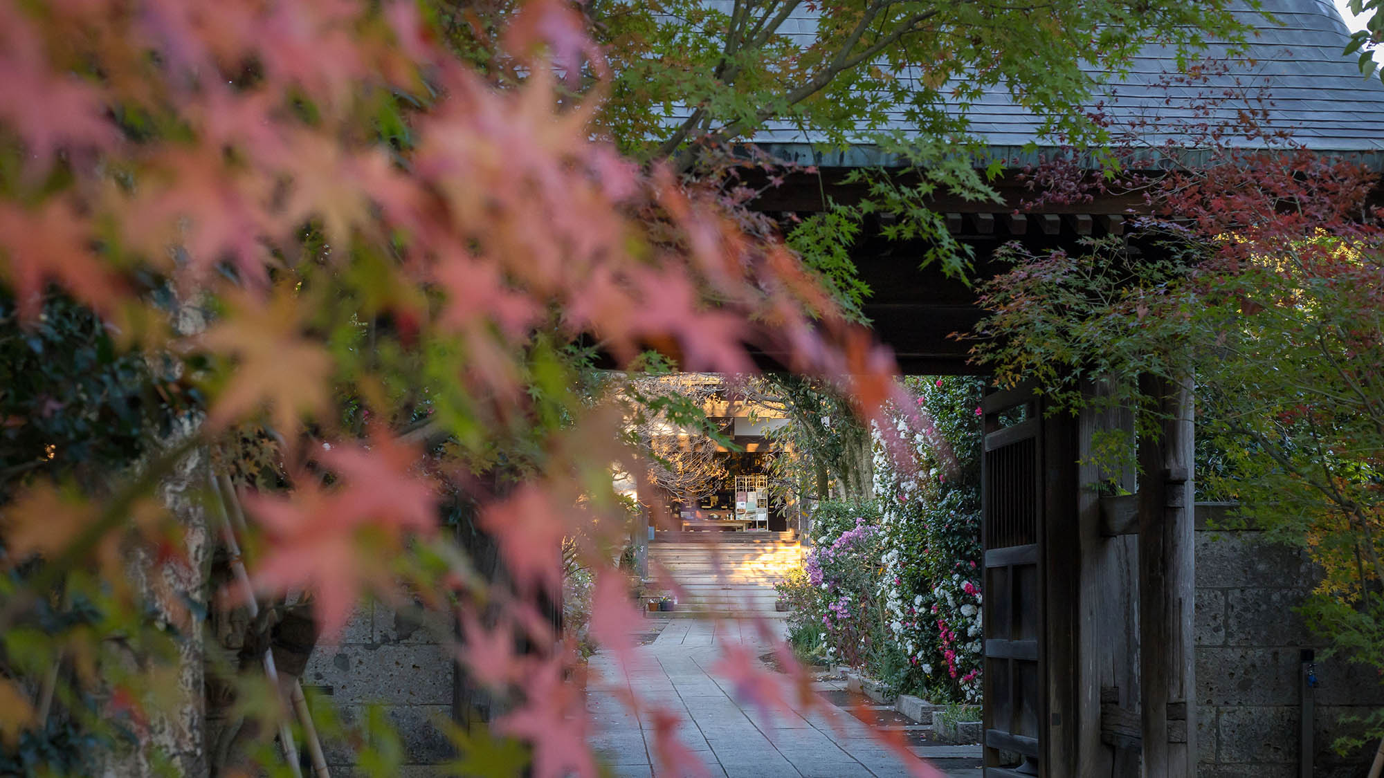 ・【光琳寺・秋】木々の葉が色づき、しっとりと落ち着いた佇まいを演出