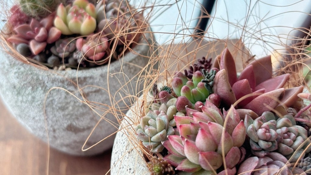 【春SALE】【2・3月限定】まちと植物に癒される多肉寄せ植え体験（90分・1人1鉢）付き宿泊プラン