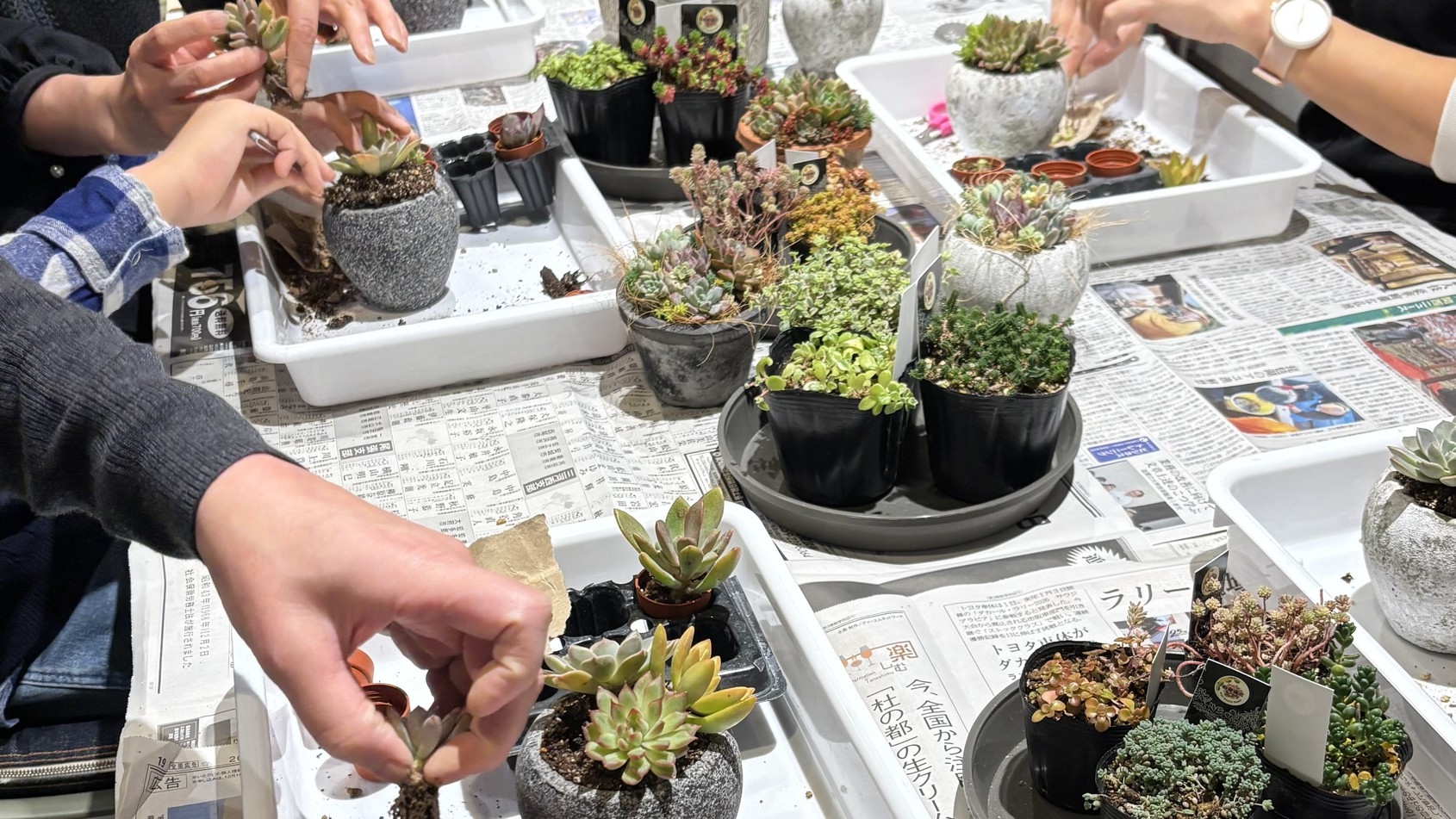 【春SALE】【2・3月限定】まちと植物に癒される多肉寄せ植え体験（90分・1人1鉢）付き宿泊プラン