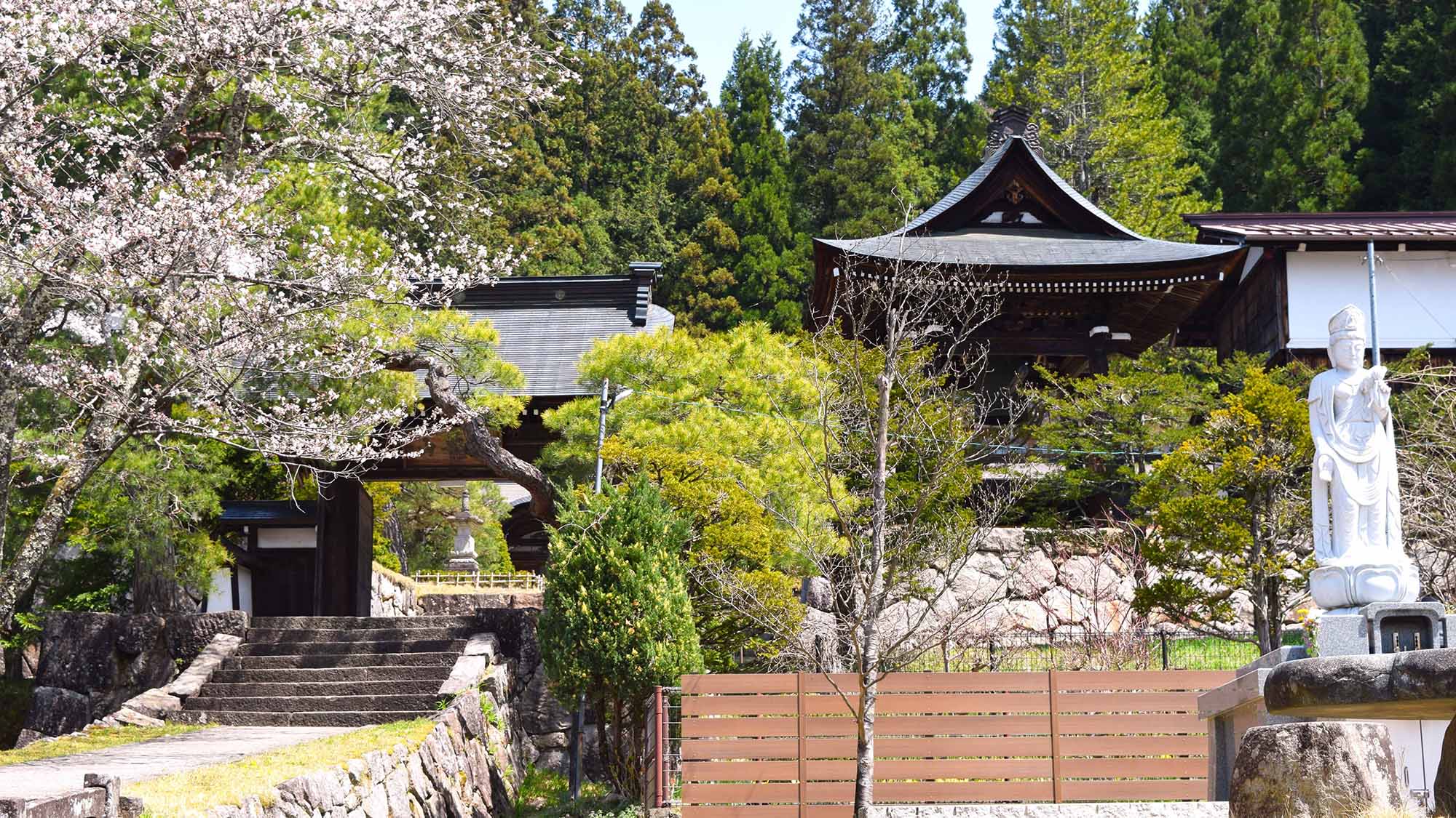 ・【周辺寺】素玄寺は戦国武将金森長近の菩提寺として創建された寺院です