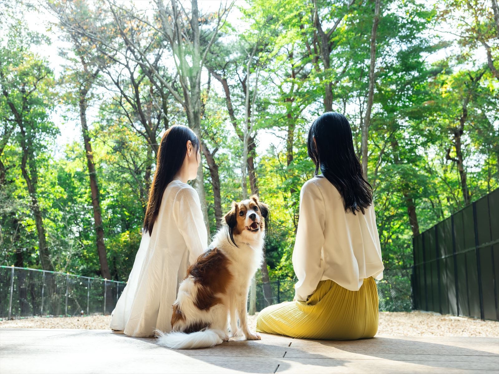 【朝食付き】愛犬と過ごす那須高原の朝♪那須高原のパンと濃厚飲むヨーグルトでお楽しみください