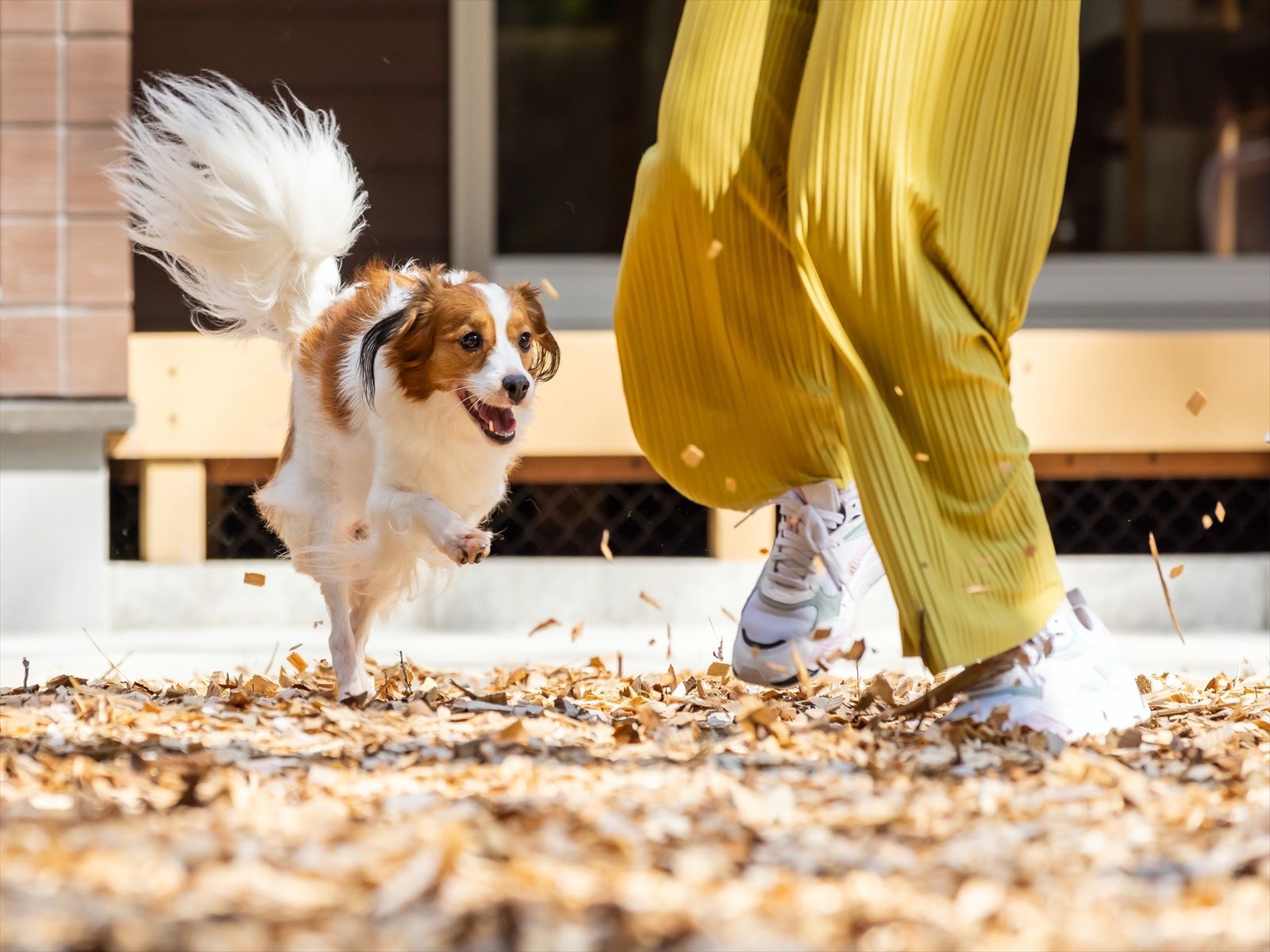 【素泊まり】プライベート空間で愛犬と一緒に自家源泉掛け流しのお風呂・ドックランを楽しむ♪