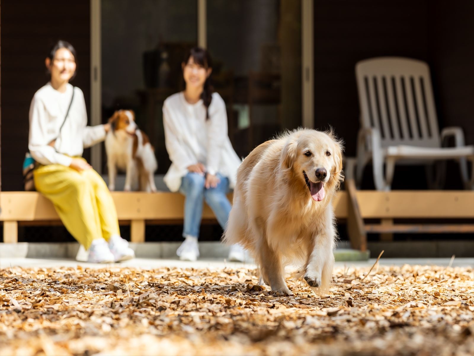 【朝食付き】愛犬と過ごす那須高原の朝♪那須高原のパンと濃厚飲むヨーグルトでお楽しみください