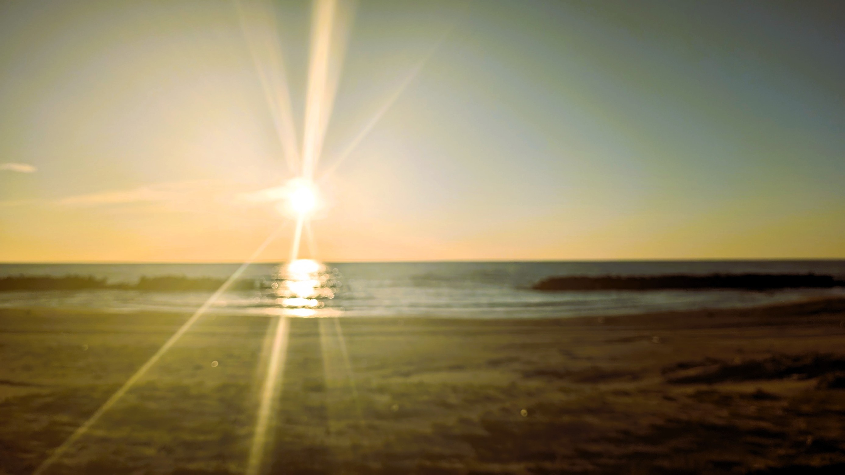 冬季割引【松花堂弁当】　好きな時間にお部屋で召し上がり頂けます。朝ごはんは、元気いっぱい和定食