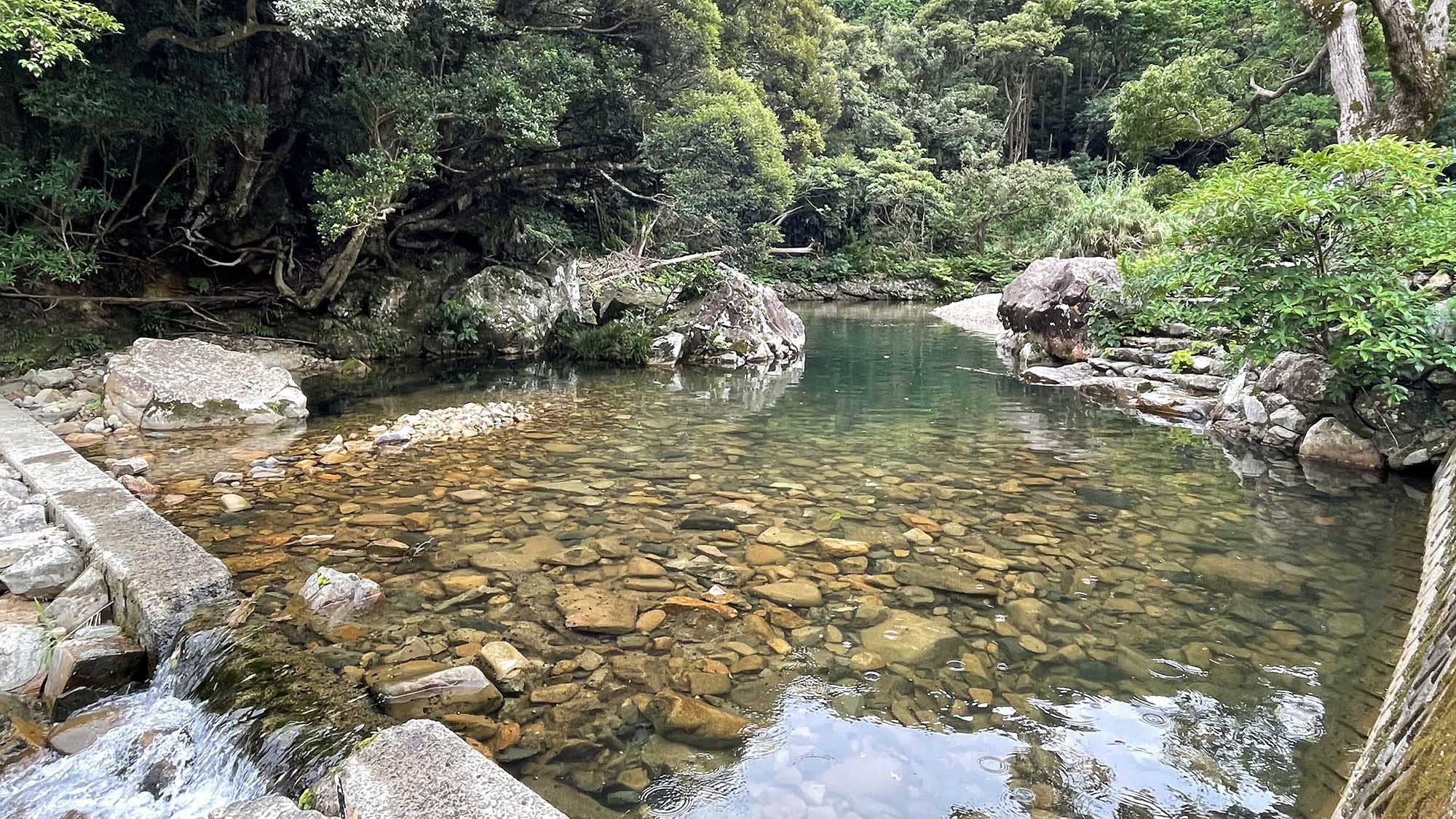 ・【川】自然豊かな環境にいると、都会の雑踏を忘れます。