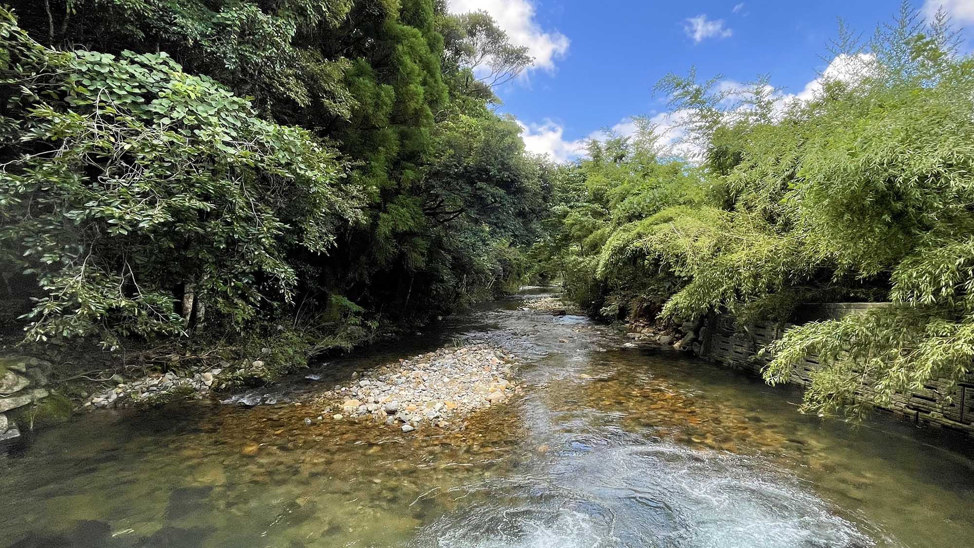 ・【川】天気の良い日に木々の鮮やかな緑が見れて、気分も晴れます。