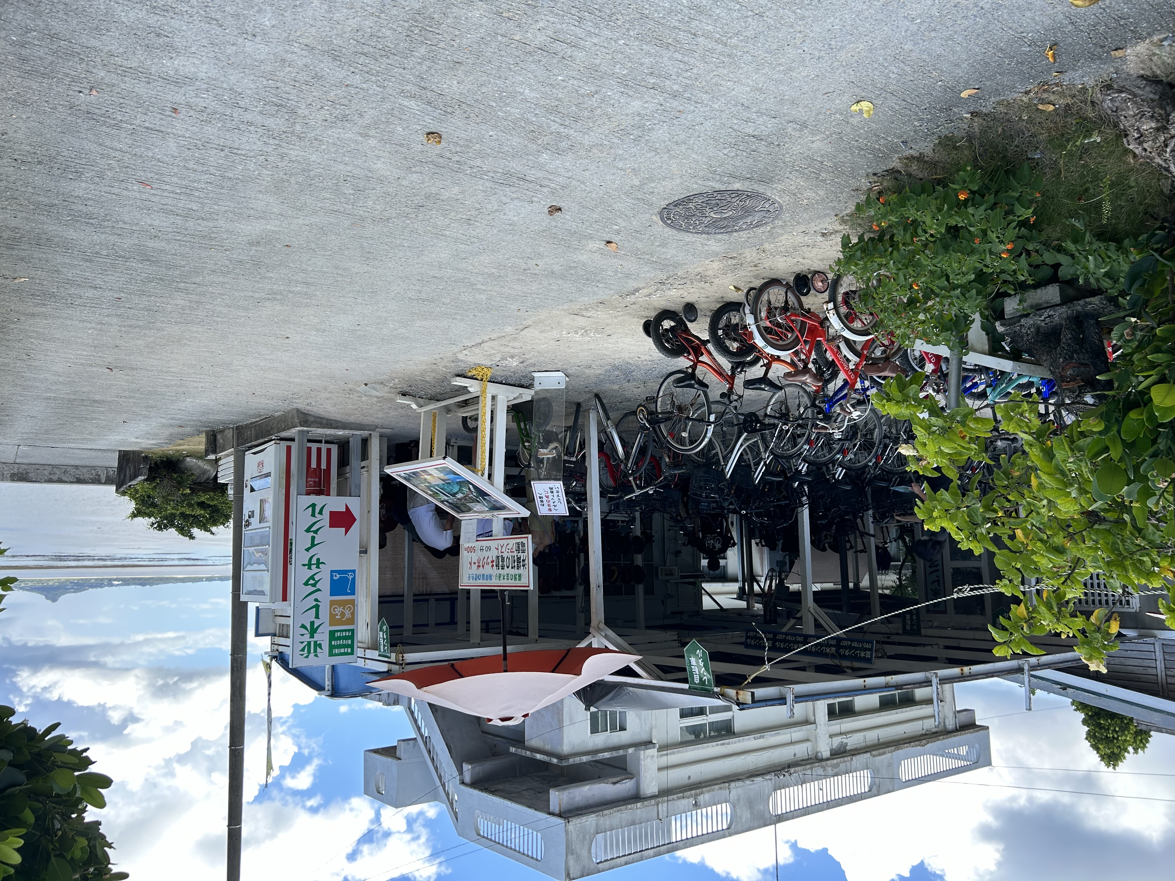 【並木レンタサイクル】電動キックボードや自転車でフクギ並木を散策♪