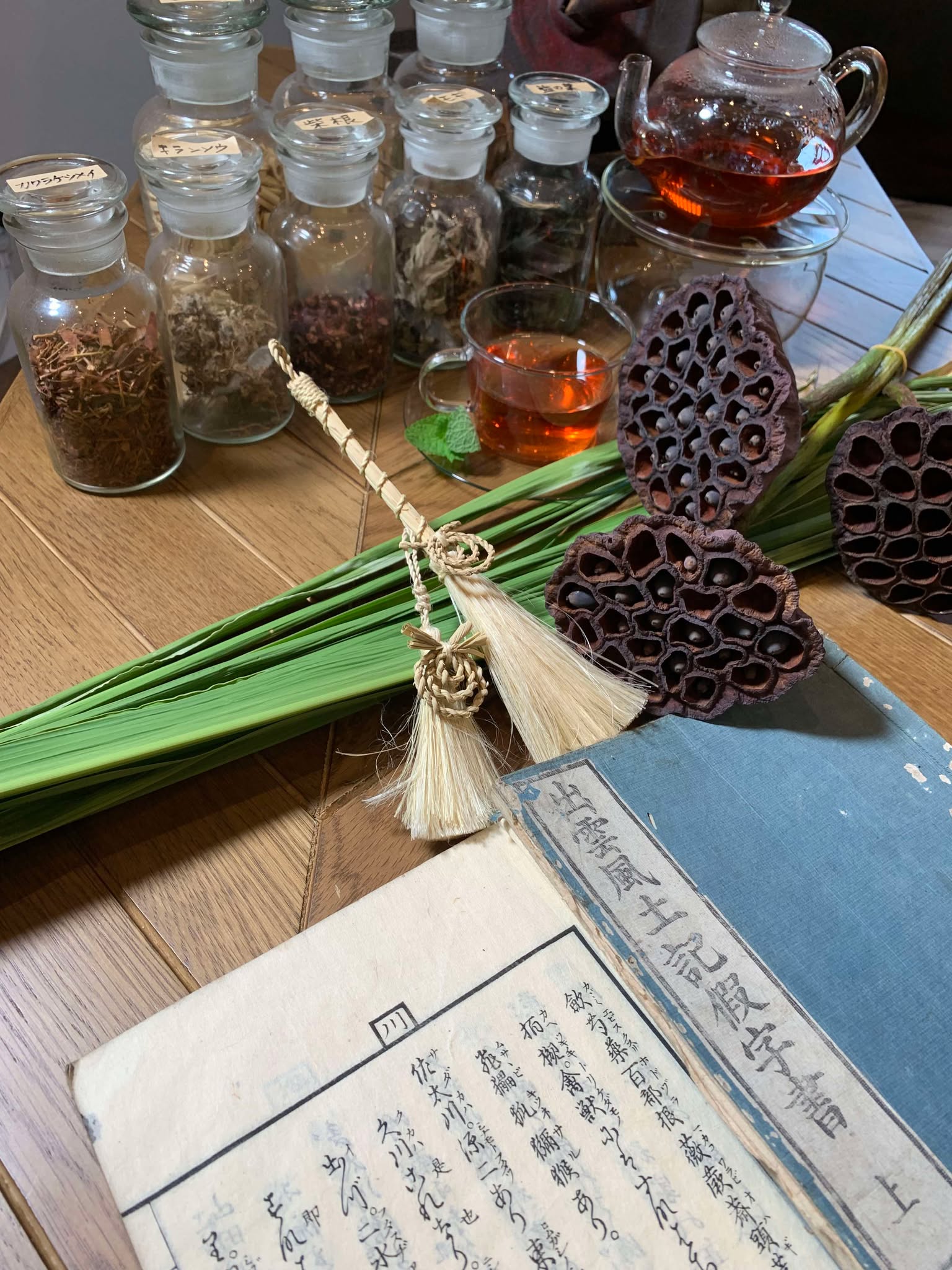 出雲ハーブプロジェクトイメージ1