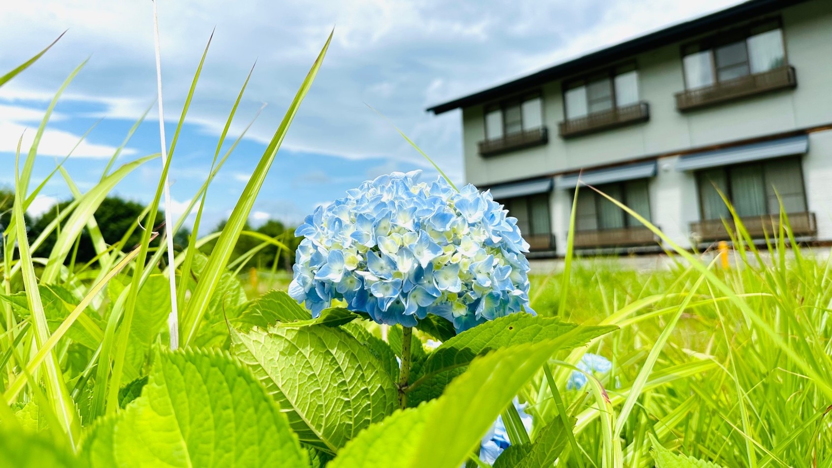 【1泊2食】聖山パノラマホテル スタンダードプラン