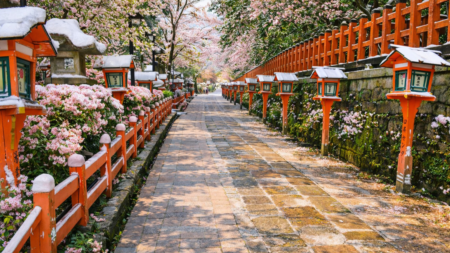 八坂神社参道（春）
