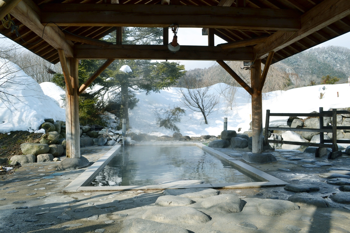 ☆彡オンライン予約限定！　『薬師の湯』満喫プラン