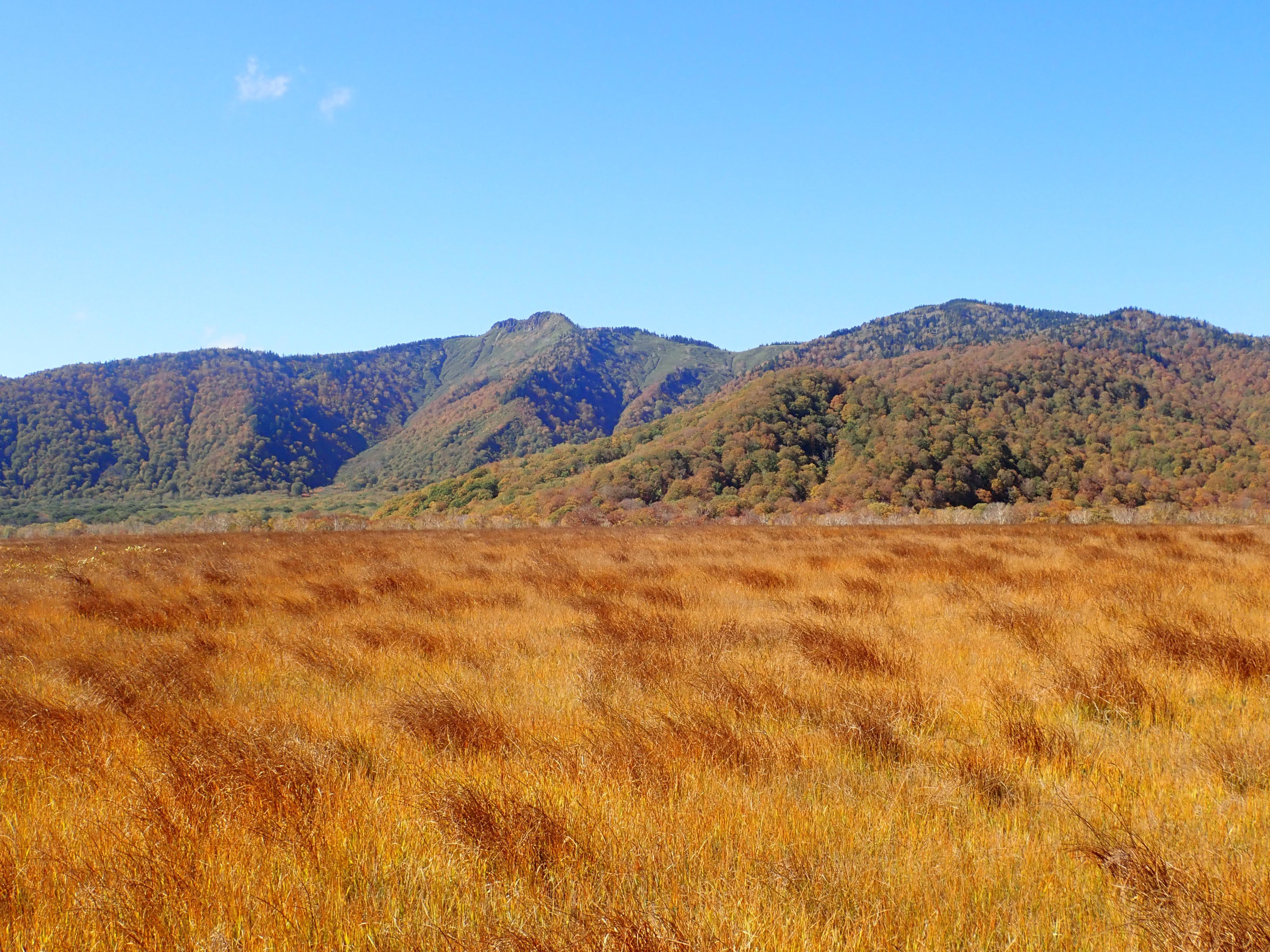尾瀬ヶ原にて景鶴山と草紅葉