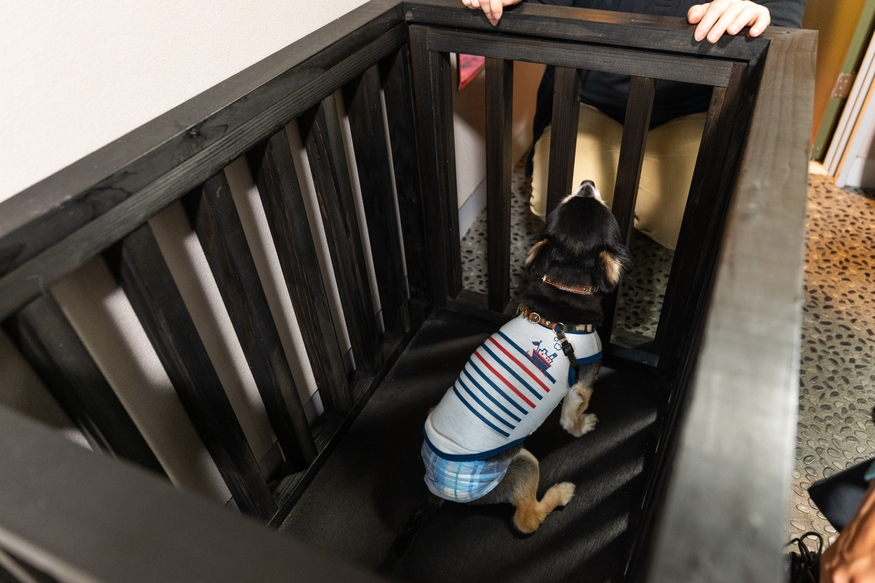 愛犬と一緒に泊まれる！まるまる貸切！！