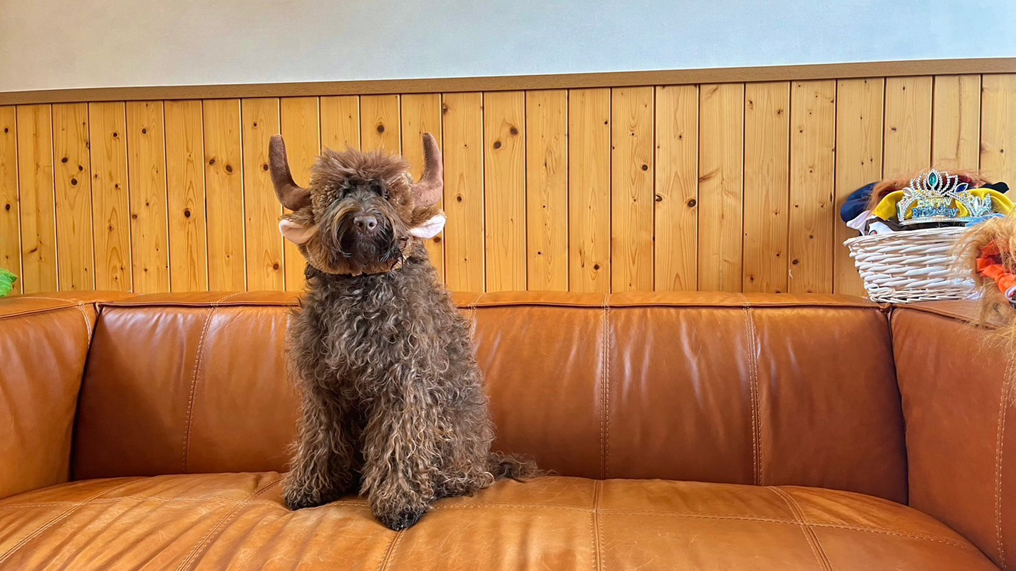 【ロビー・フリースぺース】