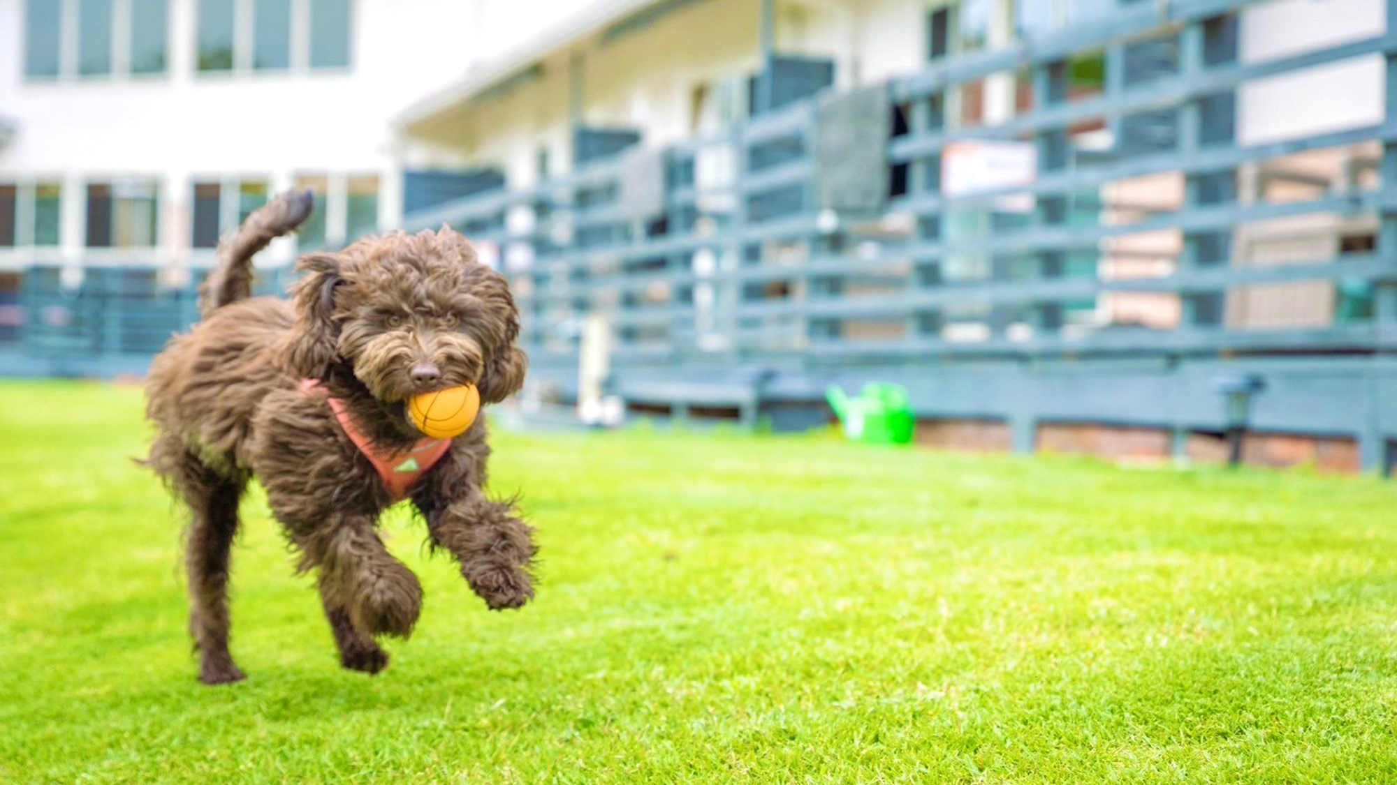 【テラスガーデン】